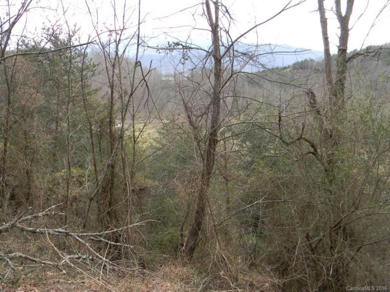 Property image 2 at Lot 60 Feather Lane, Waynesville, NC 28786