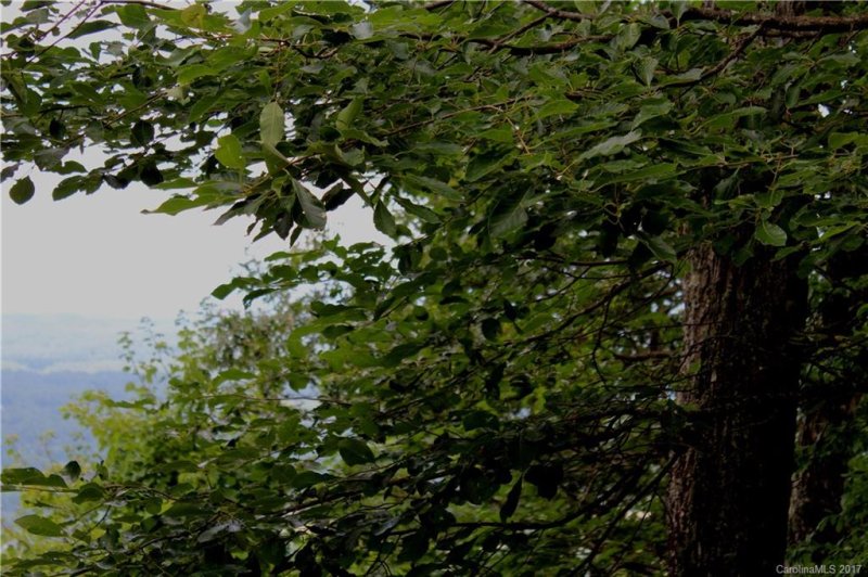 Property image 4 at Lot 15 17 Holly Berry Lane, Hendersonville, NC 28739