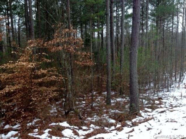 Property image 5 at 139 Dockside Lane, Statesville, NC 28677