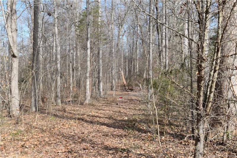 Property image 4 at 5807 Mountain Point Lane, Charlotte, NC 28216