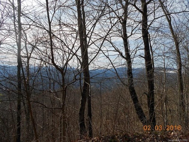 Property image 4 at 00 Hyacinth Drive, Clyde, NC 28721