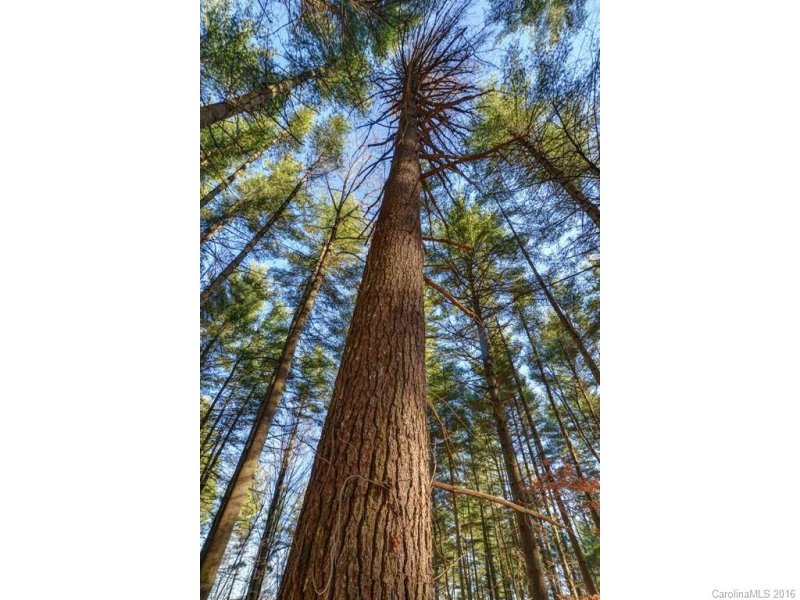 Property image 2 at Lot 4 Cane Creek Road, Fletcher, NC 28732