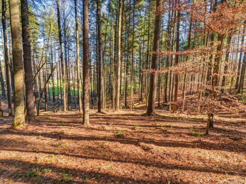Property image 3 at Lot 4 Cane Creek Road, Fletcher, NC 28732