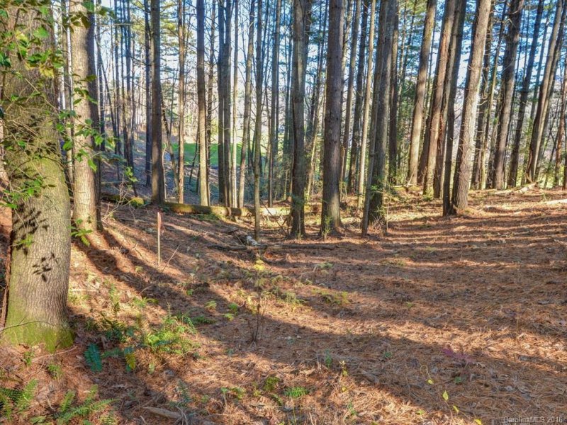 Property image 5 at Lot 4 Cane Creek Road, Fletcher, NC 28732