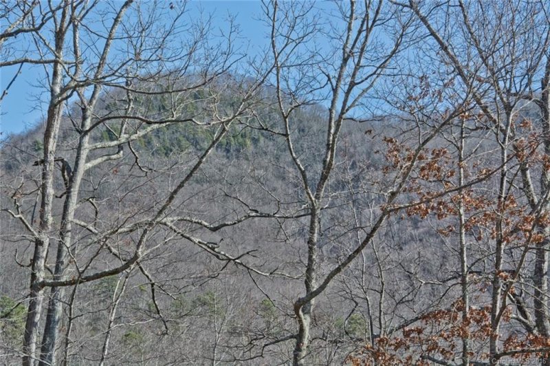 Property image 3 at 259 Fern Way, Black Mountain, NC 28711