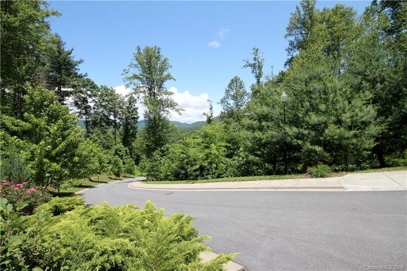 Property image 4 at 48 Grove Cove Drive, Asheville, NC 28804