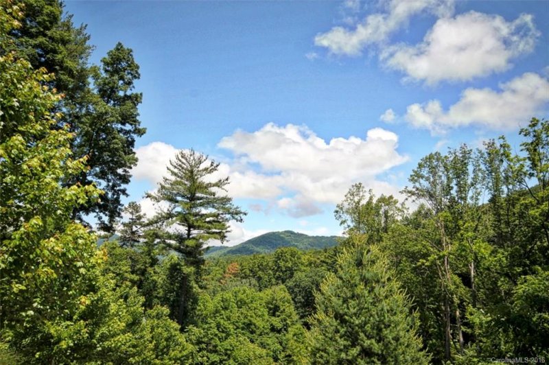 Property image 4 at 463 Patton Mountain Road, Asheville, NC 28804