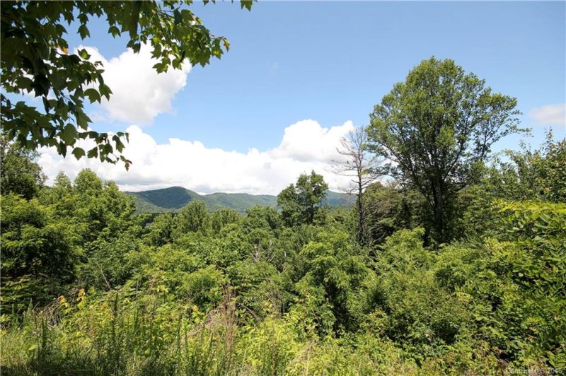 Property image 5 at 463 Patton Mountain Road, Asheville, NC 28804