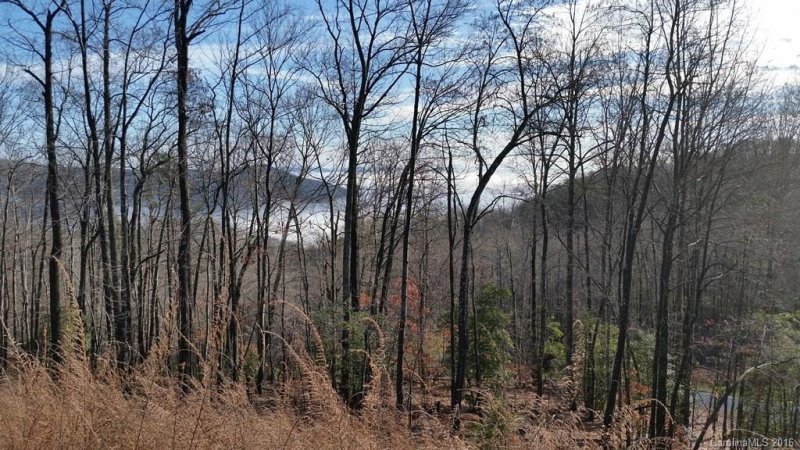 Property image 3 at Lot 151 Winterstar None, Lake Lure, NC 28746