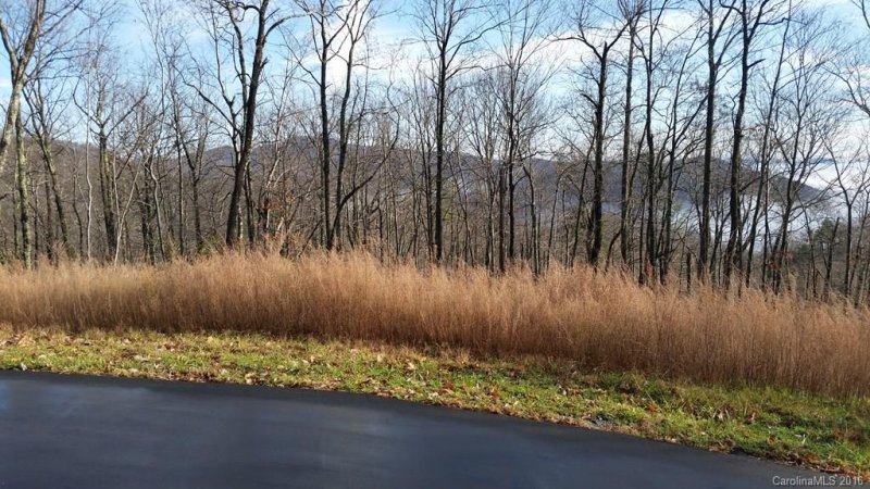 Property image 5 at Lot 151 Winterstar None, Lake Lure, NC 28746