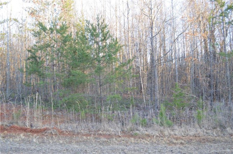 Property image 3 at 1111 Churchfield Lane, Rockwell, NC 28138