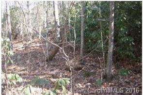 Property image 2 at 10 Wilson Drive, Brevard, NC 28712