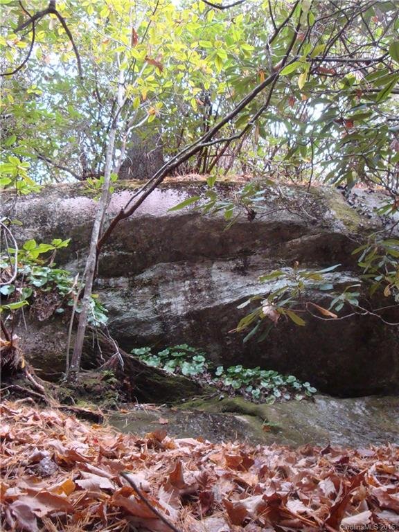 Property image 3 at 10 Wilson Drive, Brevard, NC 28712