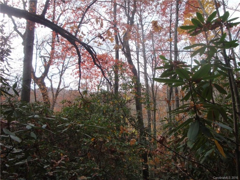 Property image 4 at 10 Wilson Drive, Brevard, NC 28712