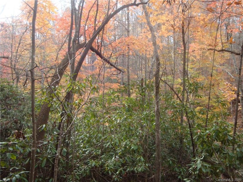 Property image 5 at 10 Wilson Drive, Brevard, NC 28712