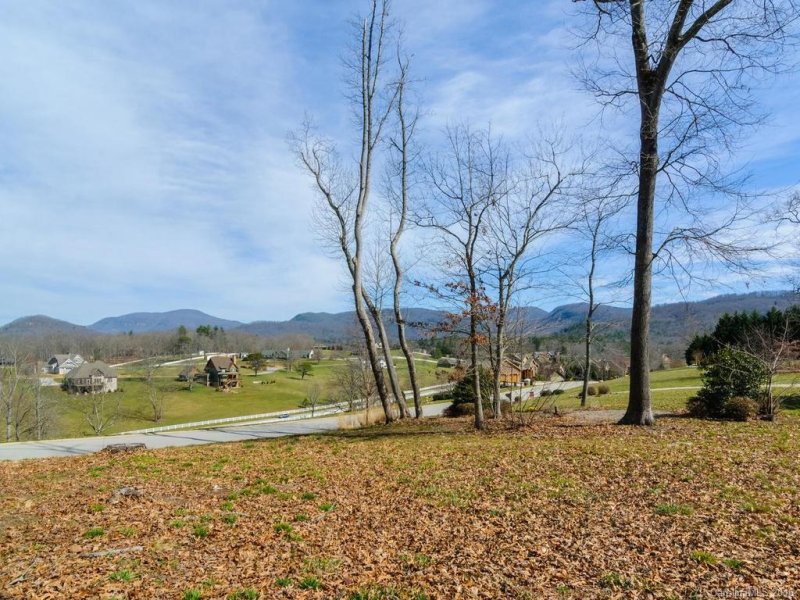 Property image 3 at 54 Bradford Vista, Fletcher, NC 28732