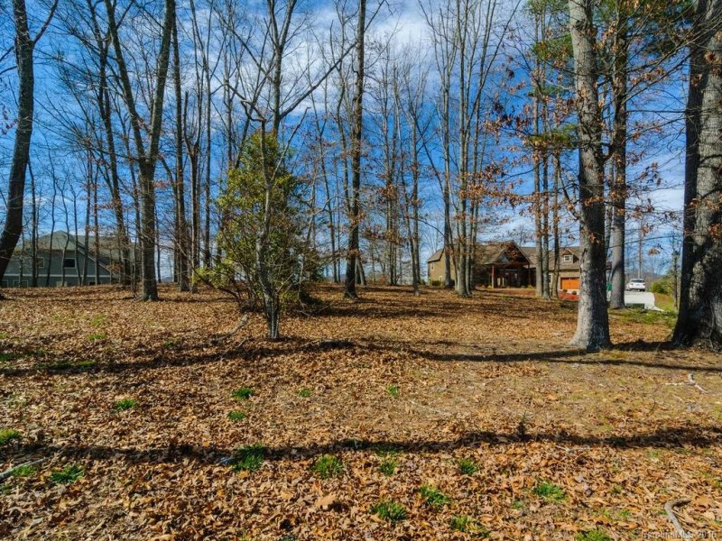 Property image 5 at 54 Bradford Vista, Fletcher, NC 28732