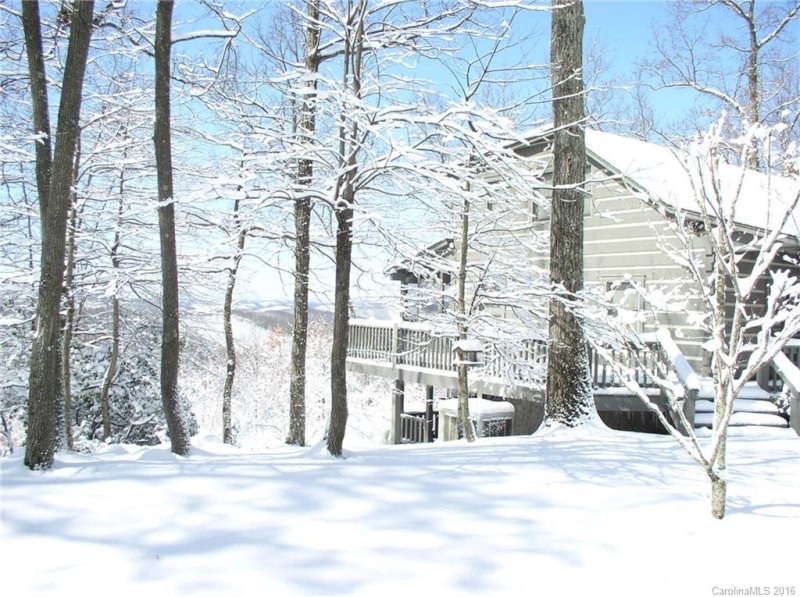 Property image 3 at 1477 Rixhaven Drive, Saluda, NC 28773