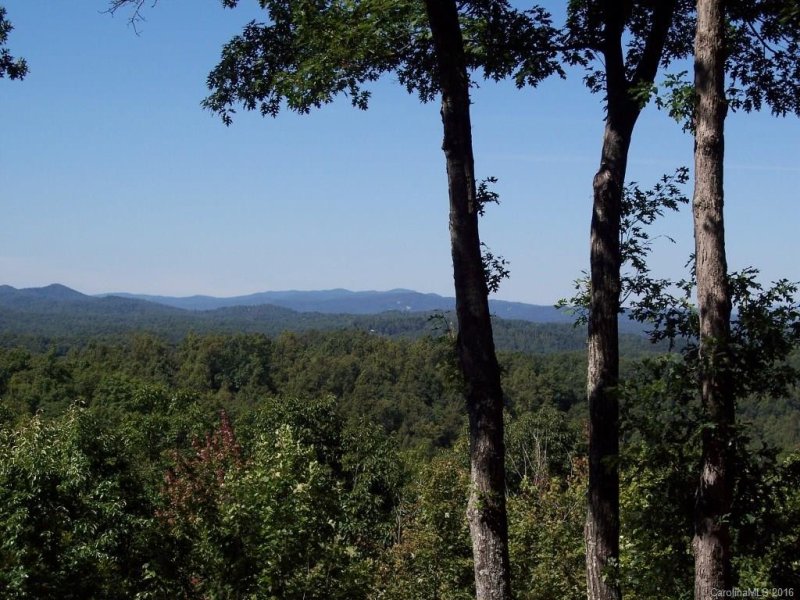 Property image 4 at 1477 Rixhaven Drive, Saluda, NC 28773