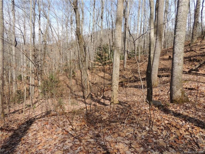 Property image 3 at Tbd Lot 07 Hunting Lodge Drive, Black Mountain, NC 28711