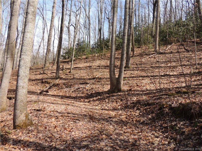 Property image 5 at Tbd Lot 07 Hunting Lodge Drive, Black Mountain, NC 28711