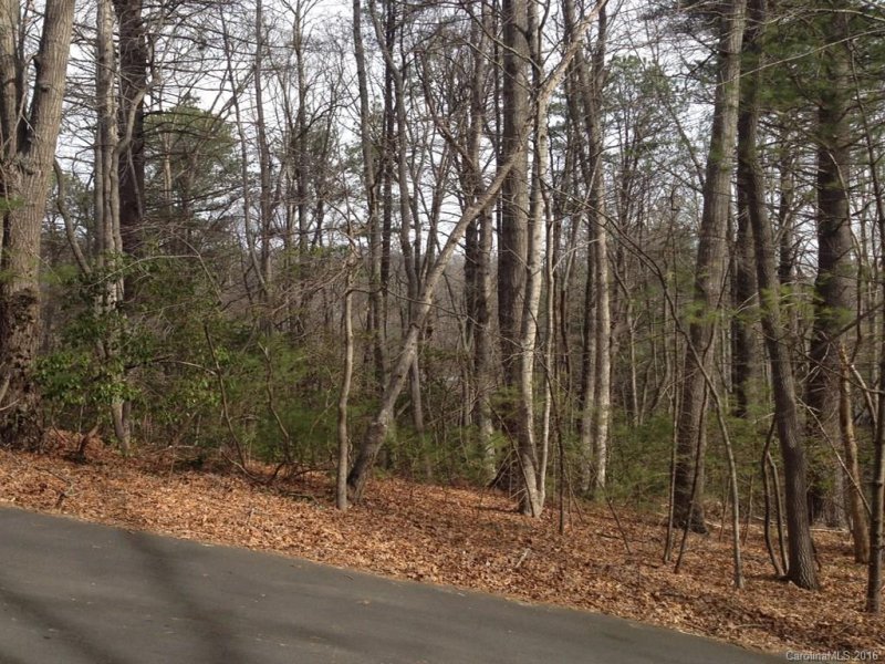 Property image 2 at 99999 Muirfield Circle, Arden, NC 28704