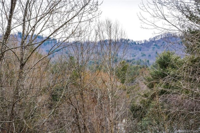 Property image 3 at 33 Brookcliff Drive, Asheville, NC 28804