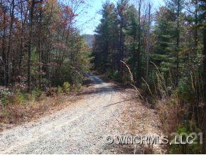 Property image 5 at 99 Oak Laurel Road, Brevard, NC 28712