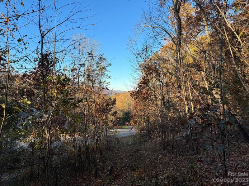 Property image 3 of 10 Clear Fork Lane in Southcliff, Fairview, NC 28730