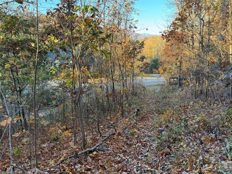 Property image 4 of 10 Clear Fork Lane in Southcliff, Fairview, NC 28730