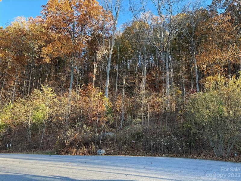 Property image 5 of 10 Clear Fork Lane in Southcliff, Fairview, NC 28730