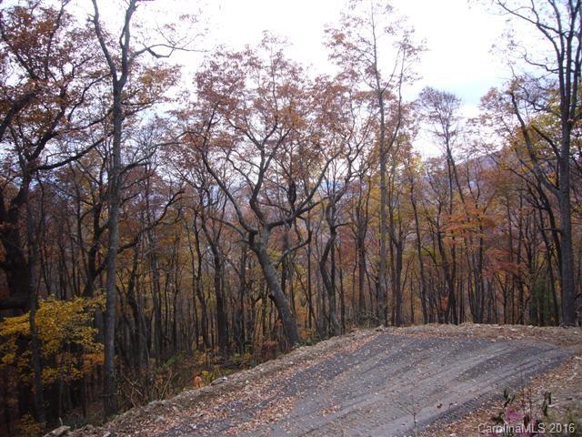 Property image 2 at 96 Castanea Mountain Drive, Asheville, NC 28803