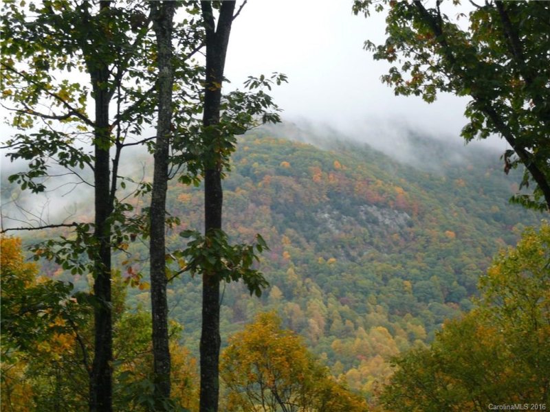 Property image 4 at 96 Castanea Mountain Drive, Asheville, NC 28803