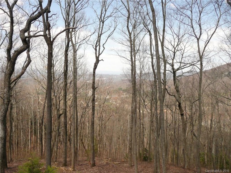 Property image 5 at 96 Castanea Mountain Drive, Asheville, NC 28803