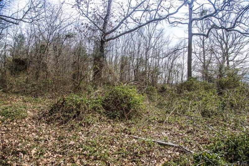 Property image 2 at 20 Lawson Ridge, Leicester, NC 28748