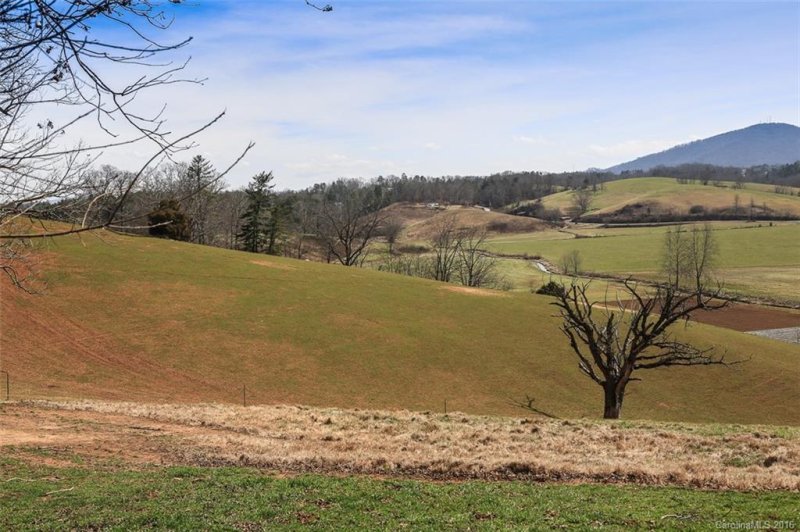 Property image 3 at 20 Lawson Ridge, Leicester, NC 28748