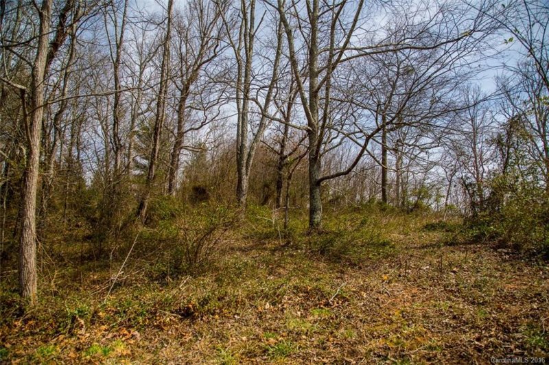 Property image 4 at 20 Lawson Ridge, Leicester, NC 28748