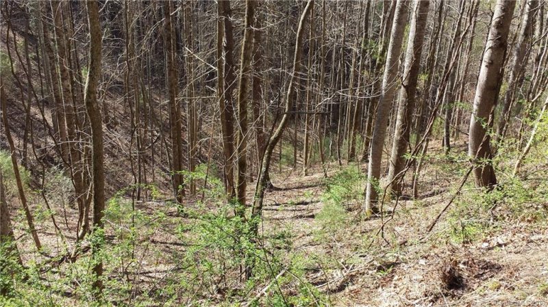 Property image 2 at 0000 Turtle Rock Highway, Flat Rock, NC 28731