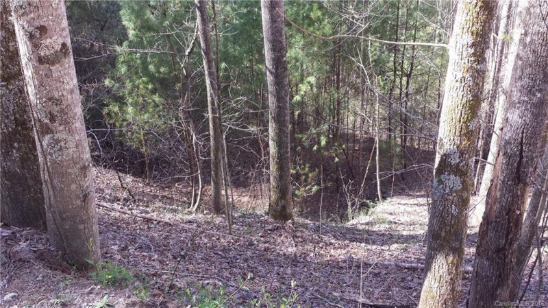 Property image 3 at 0000 Turtle Rock Highway, Flat Rock, NC 28731