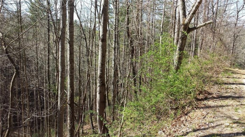 Property image 4 at 0000 Turtle Rock Highway, Flat Rock, NC 28731