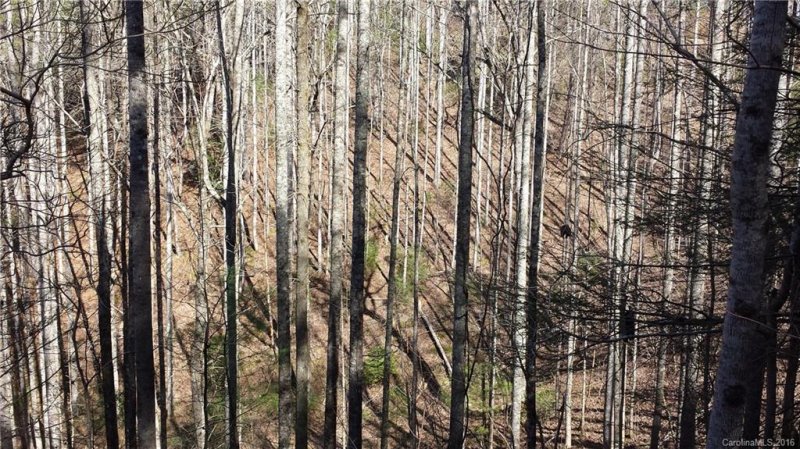 Property image 5 at 0000 Turtle Rock Highway, Flat Rock, NC 28731