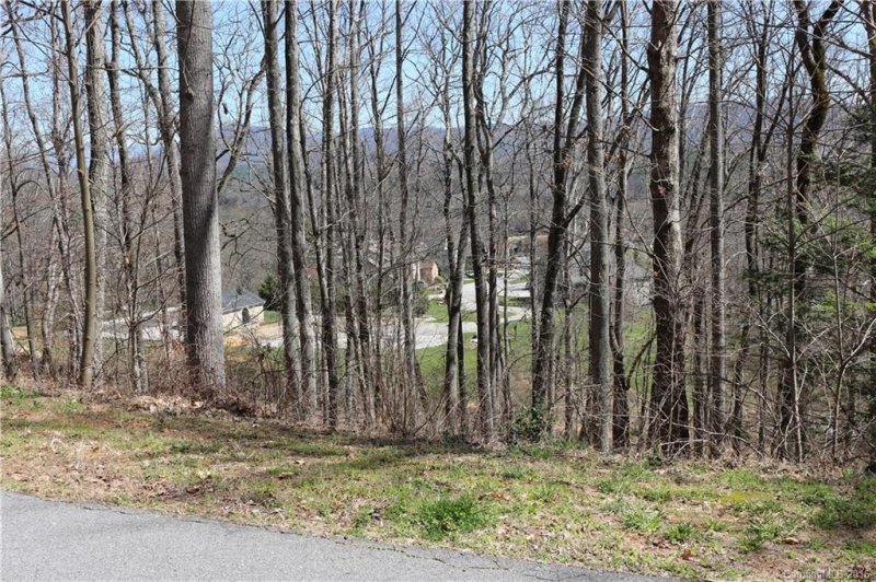 Property image 3 at 43 Springhead Court, Arden, NC 28704