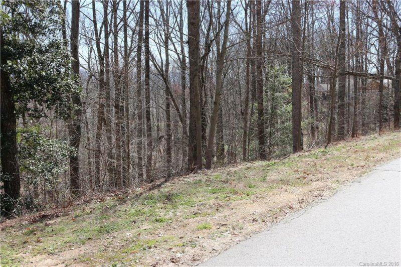 Property image 4 at 43 Springhead Court, Arden, NC 28704