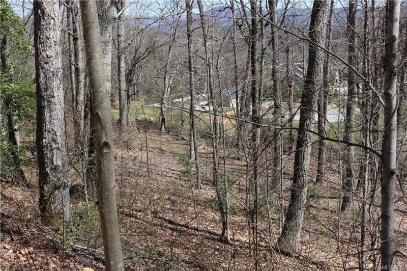 Property image 5 at 43 Springhead Court, Arden, NC 28704