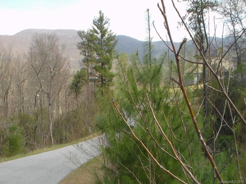 Property image 3 at 64 Nuthatch Court, Fairview, NC 28730