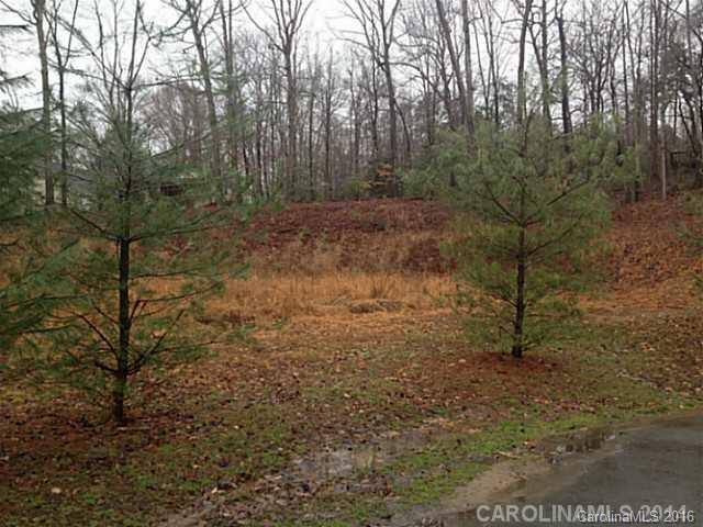 Property image 5 at 8371 Paso Fino Lane, Catawba, NC 28609