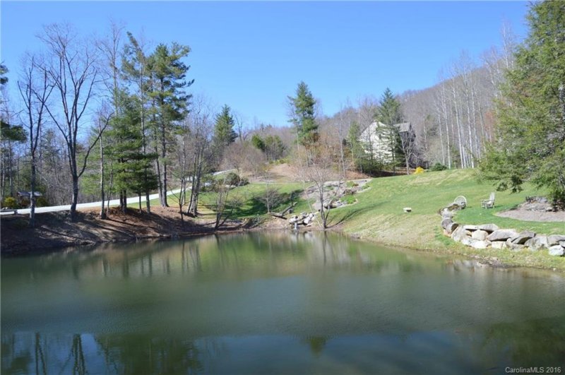 Property image 4 at 1092 Somersby Parkway, Laurel Park, NC 28739