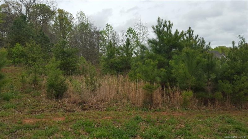 Property image 2 at 155 Pine Mist Drive, Mooresville, NC 28117