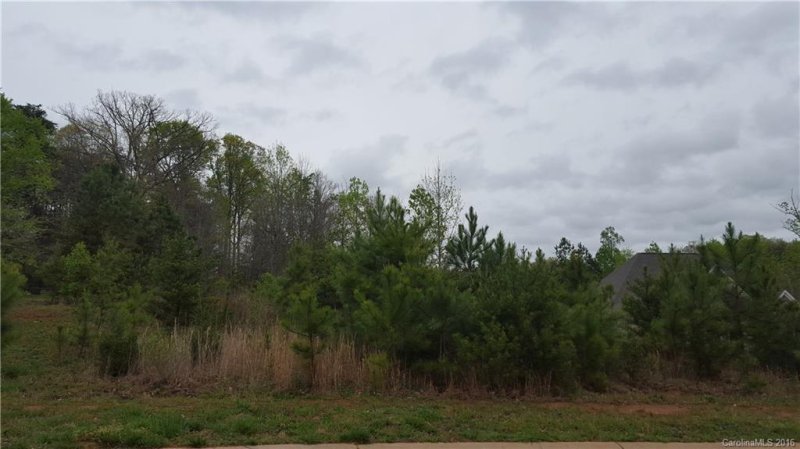 Property image 3 at 155 Pine Mist Drive, Mooresville, NC 28117