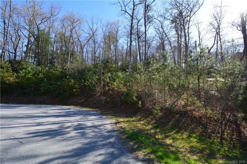 Property image 4 at 61 Nuthatch Court, Fairview, NC 28730